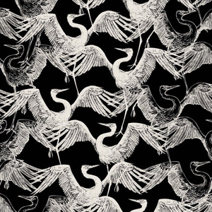 裸体性高朝女人中国管
