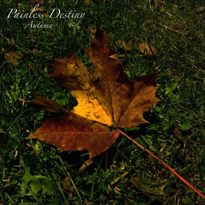 裸体性高朝女人中国管
